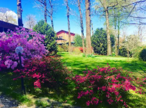 Az.gricola Il Vecchio Castagno