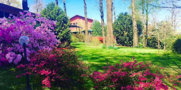 Az.gricola Il Vecchio Castagno