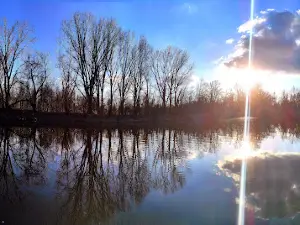 Special nature reserve Karadjordjevo