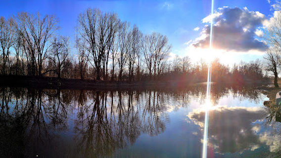 Special nature reserve Karadjordjevo