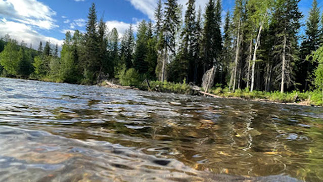 Upper Chatanika River Campground