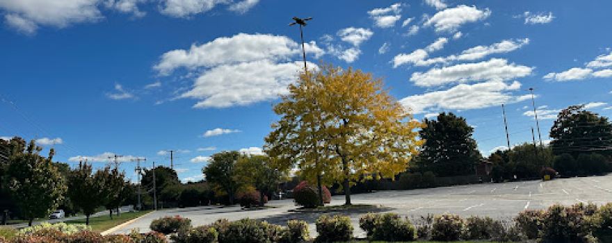 Boroline Park
