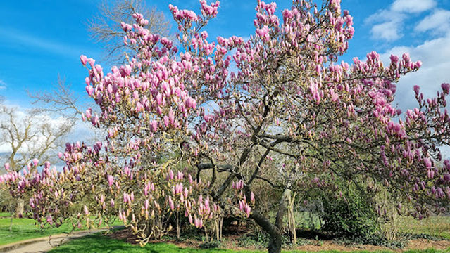 Parc de Sainte Radegonde