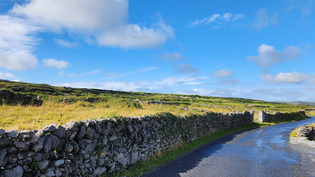 Seal Colony Viewpoint
