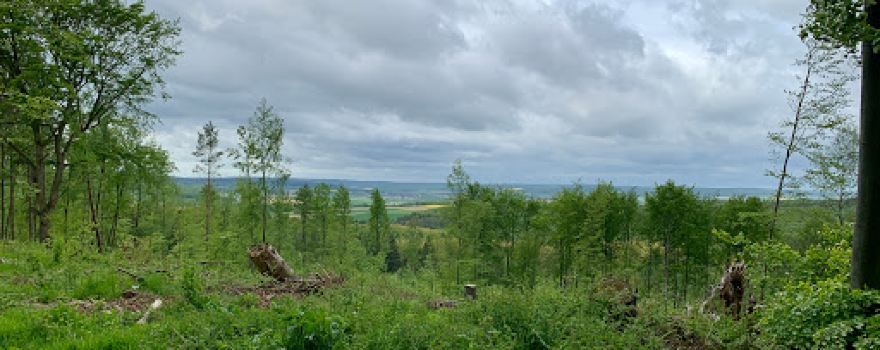 Sofaklippen