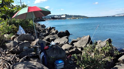 Malawaan Picnic Park