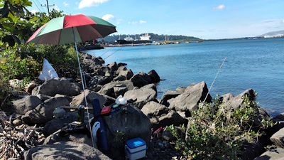 Malawaan Picnic Park