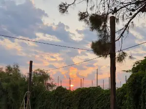 Camping 'Lido Dei Pini'