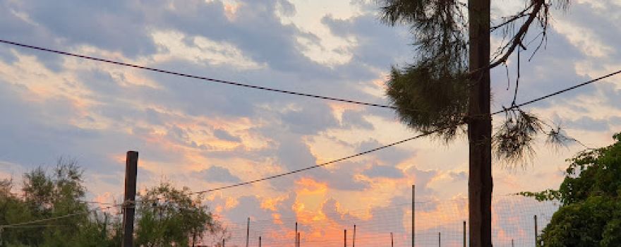 Camping 'Lido Dei Pini'