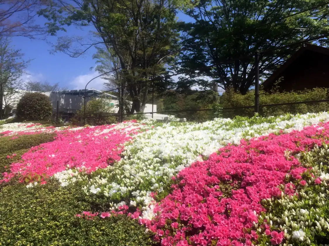 Отели рядом с достопримечательностью «Hiroshima Botanical Park»
