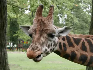 Opole Zoo
