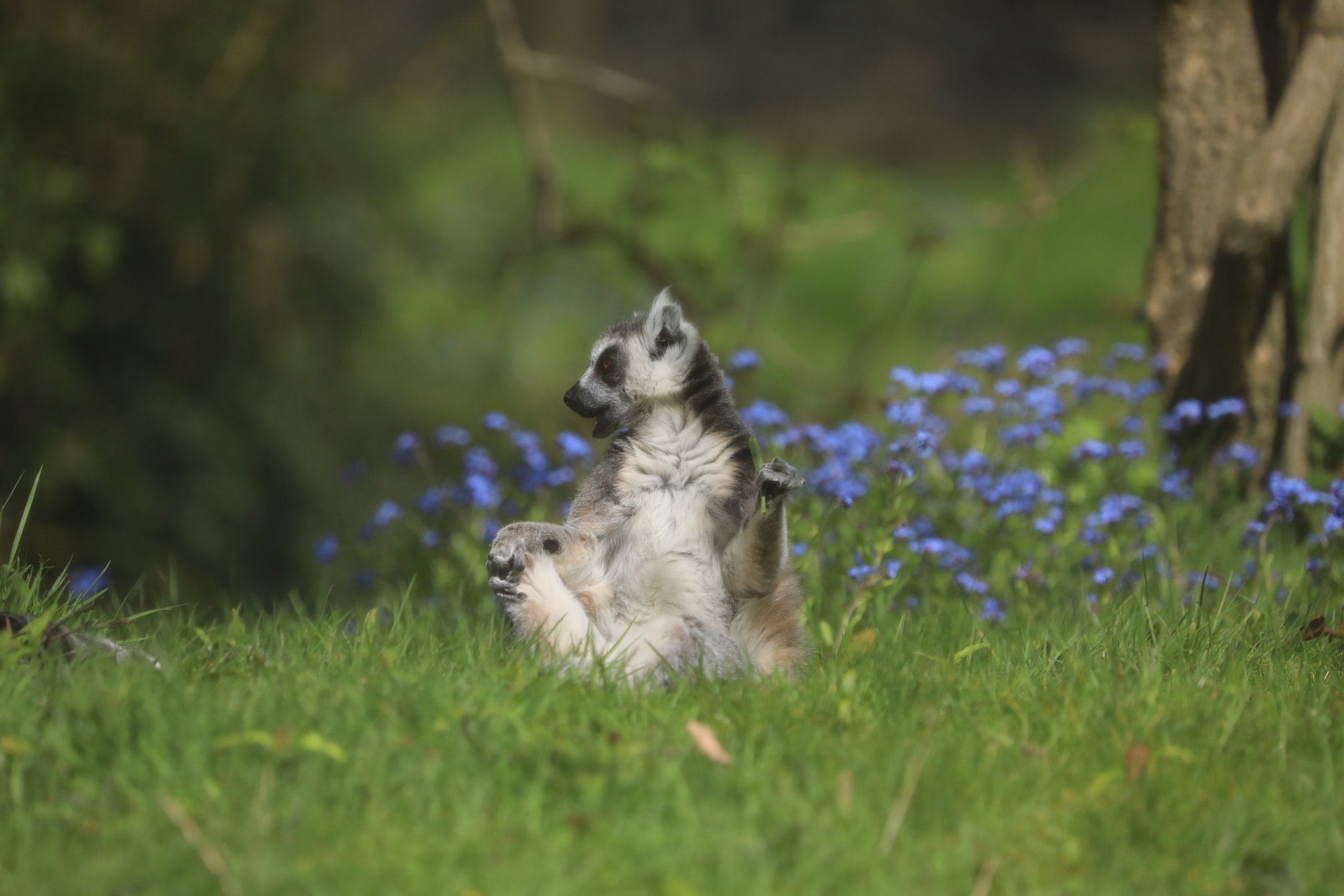 Popular Family-friendly Attractions in Edinburgh