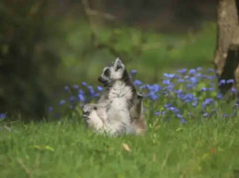 Popular Family-friendly Attractions in Edinburgh