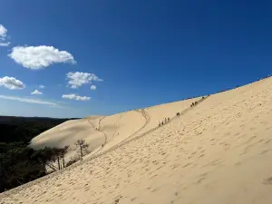 比拉沙丘