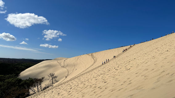 Dune of Pilat
