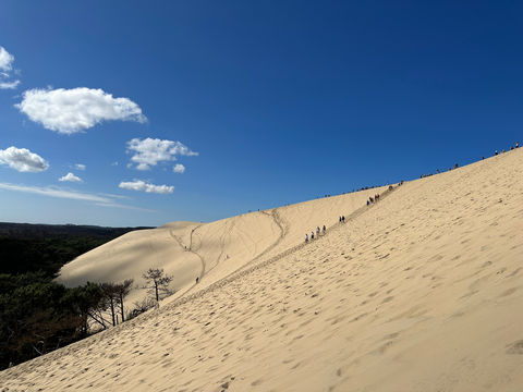 Dune of Pilat
