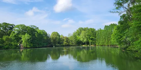 皮德蒙特公園