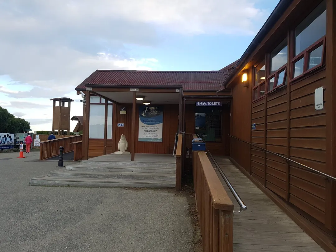 4_Oamaru Blue Penguin Colony