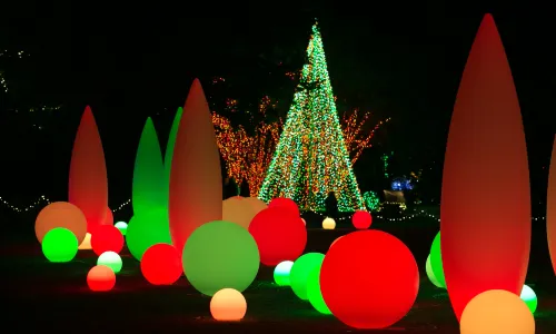 Atlanta Botanical Garden