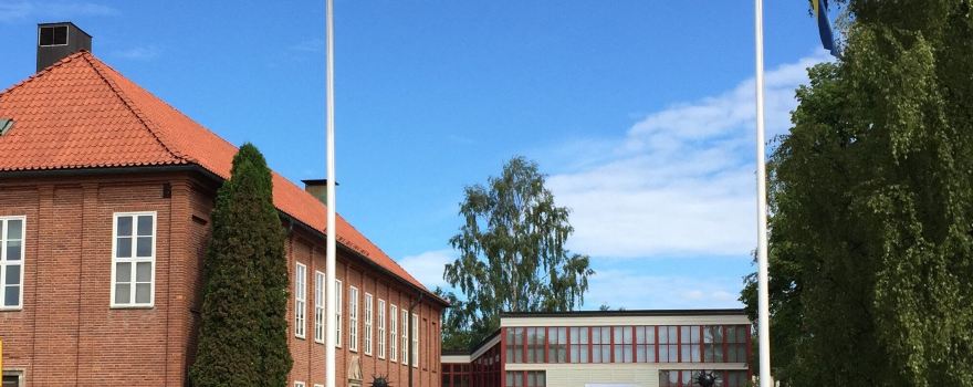 Mora