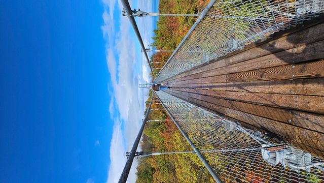 Scenic Caves Nature Adventures