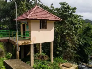 Aruvikuzhy Waterfalls