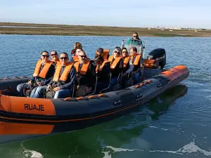 Estrela da Ria Formosa