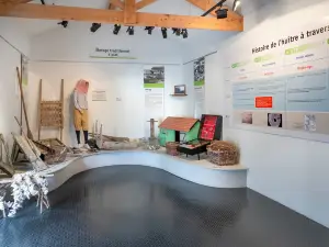 La Cite de L'Huître