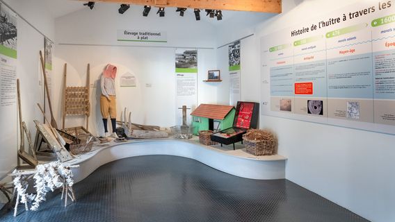 La Cite de L'Huître