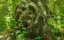 Орлиные скалы