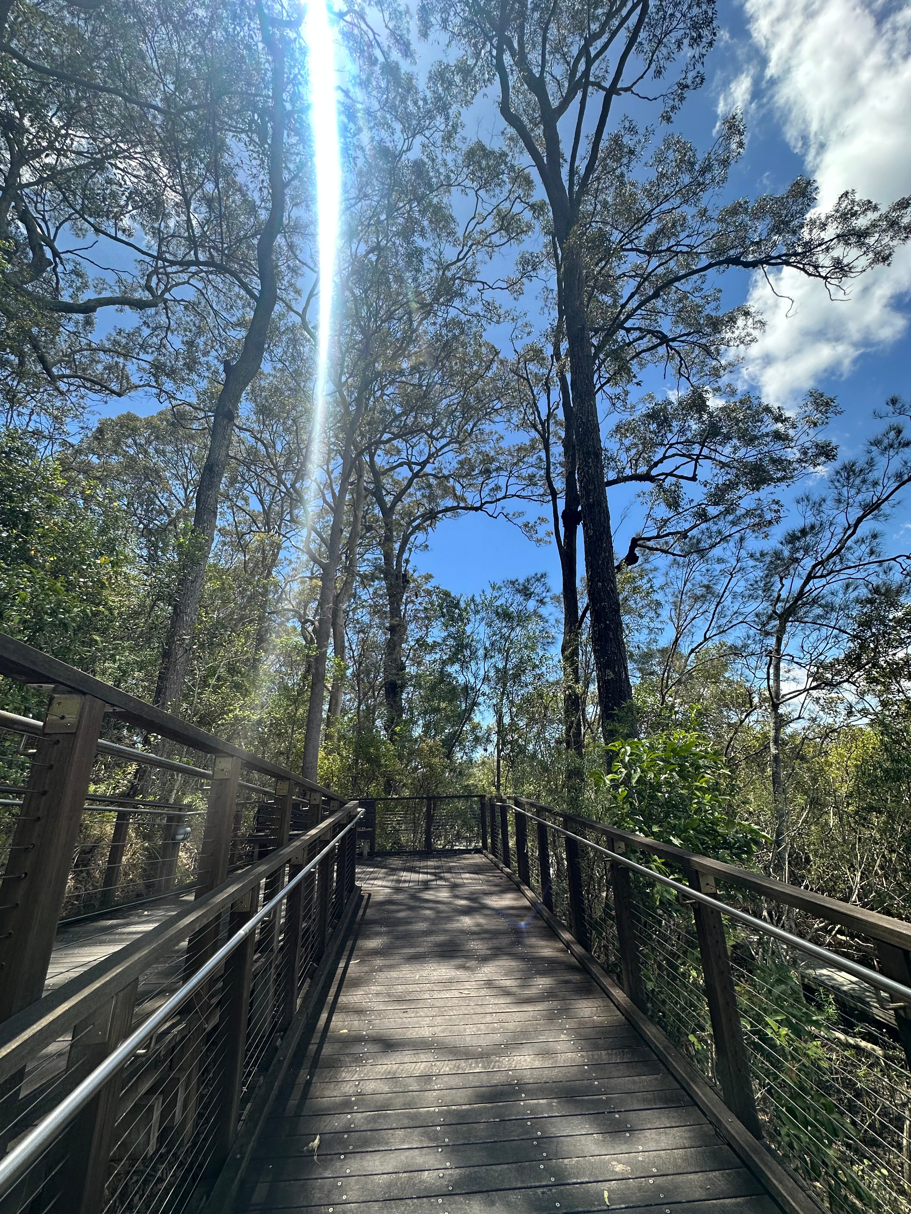David Fleay Wildlife Park Parking