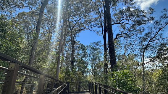 David Fleay Wildlife Park