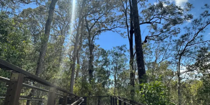 大衛菲里野生動物園