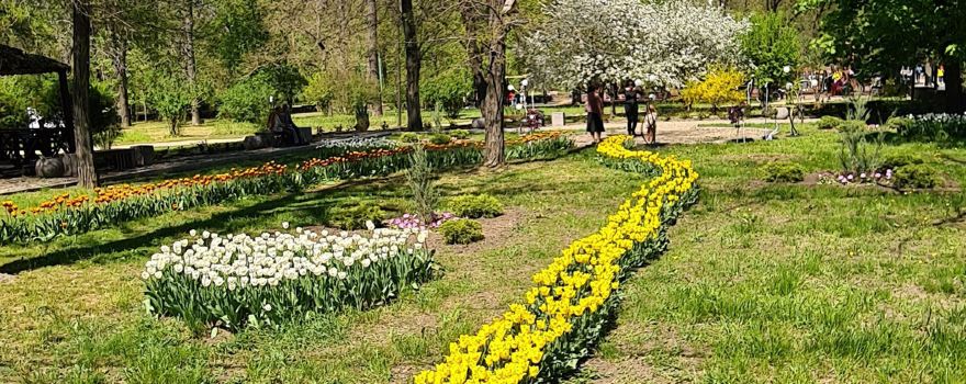 Taganrog