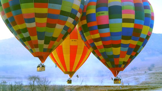 Bill Harrop's "Original" Balloon Safaris