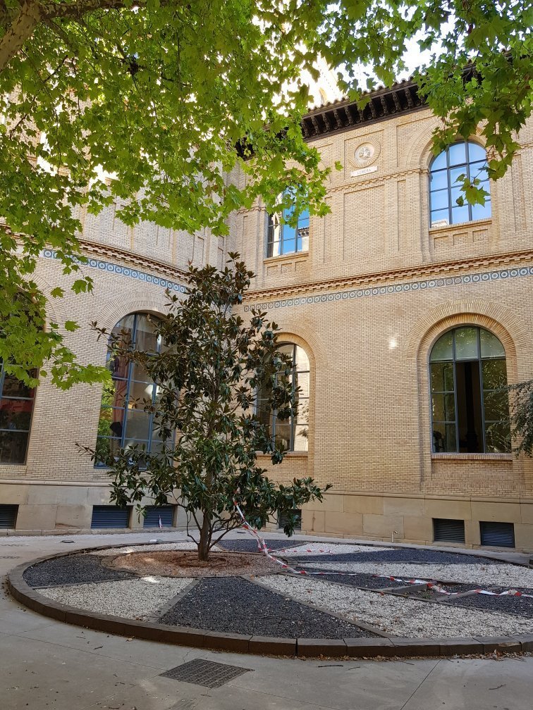 University of Zaragoza