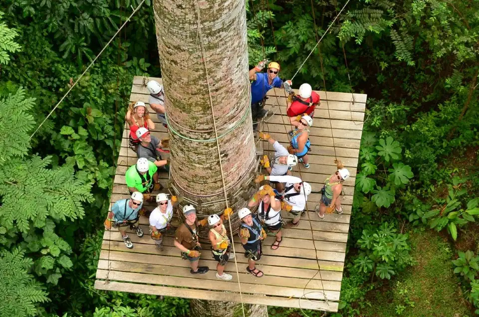 4_Canopy Vista Los Suenos