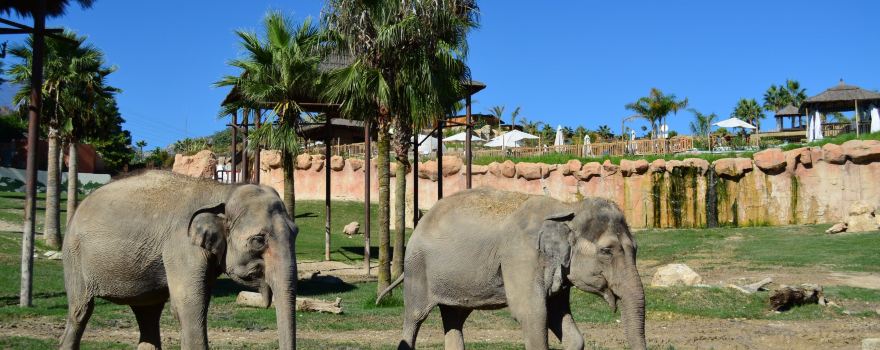 Terra Natura Benidorm