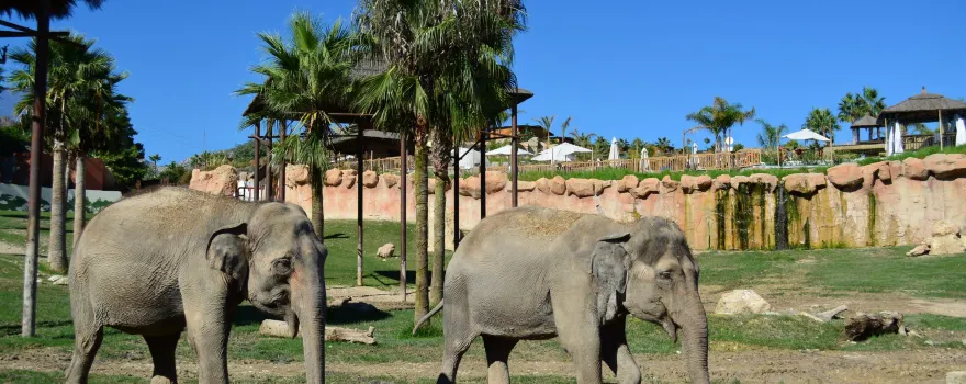 Terra Natura Benidorm