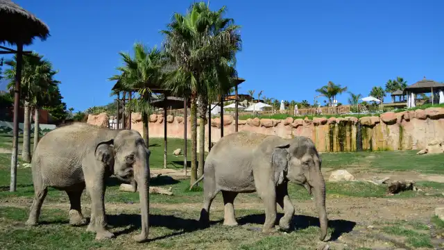 Hotels near Terra Natura Benidorm