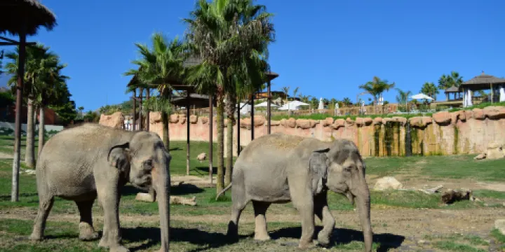 Terra Natura Benidorm