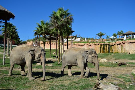 Terra Natura Benidorm