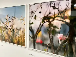 Musée de la Photographie