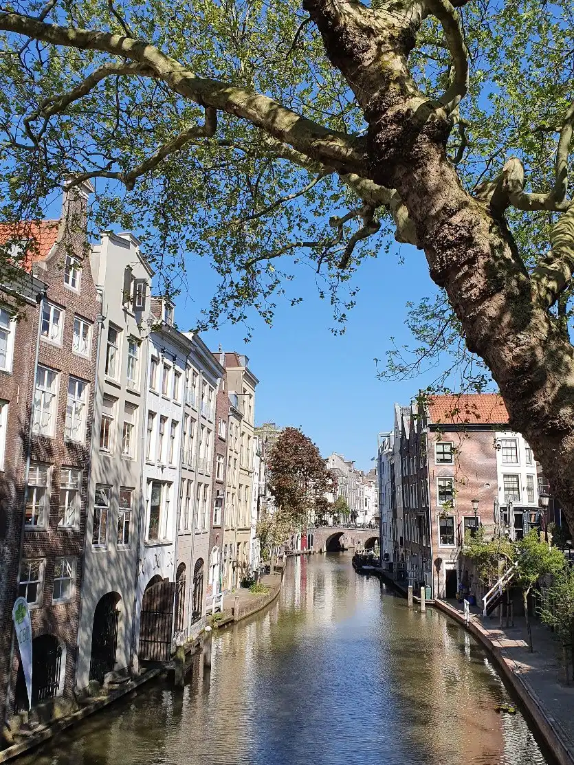Hotels near Canals area