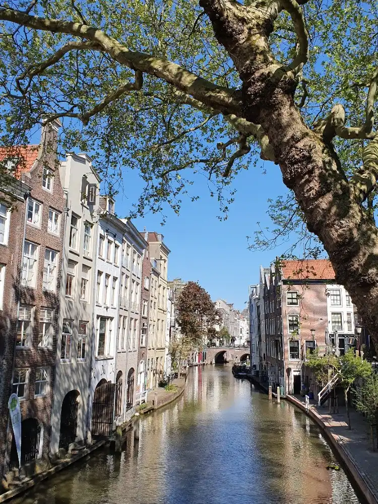 Hotels near Canals area