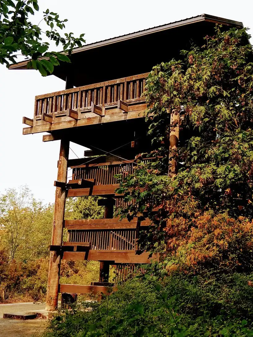 Hotels near Sehome Hill Arboretum