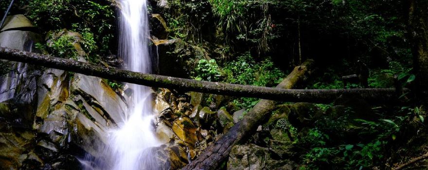 Jeram Toi