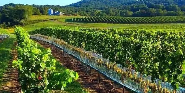 Hotels in Fauquier County