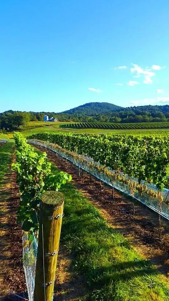 Hotels in Fauquier County
