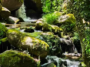 Camino del Agua